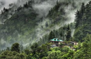 Barshaini Views