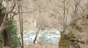 Parvathi river